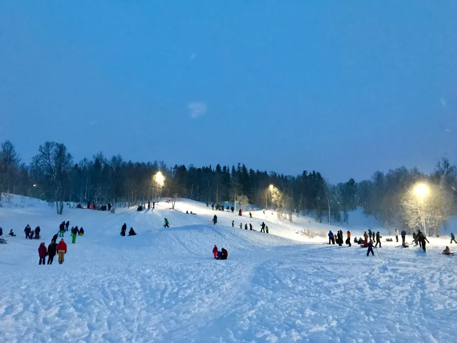 Mange titalls barn og voksne i vinterlek p&aring; Charlottenlund