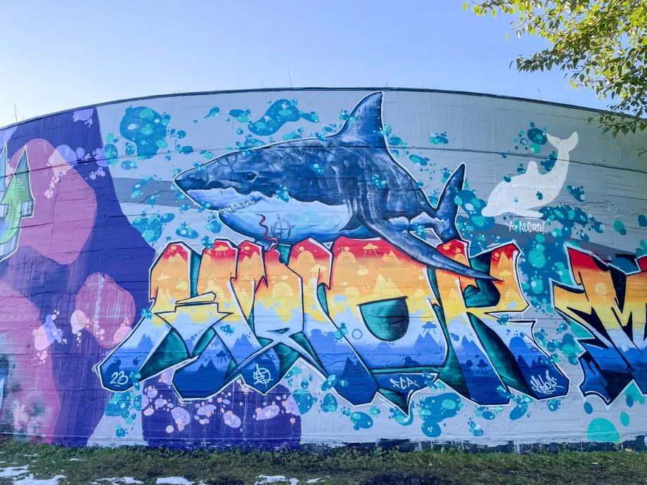 Forh&aring;pningen trykkbasseng dekket av gatekunst