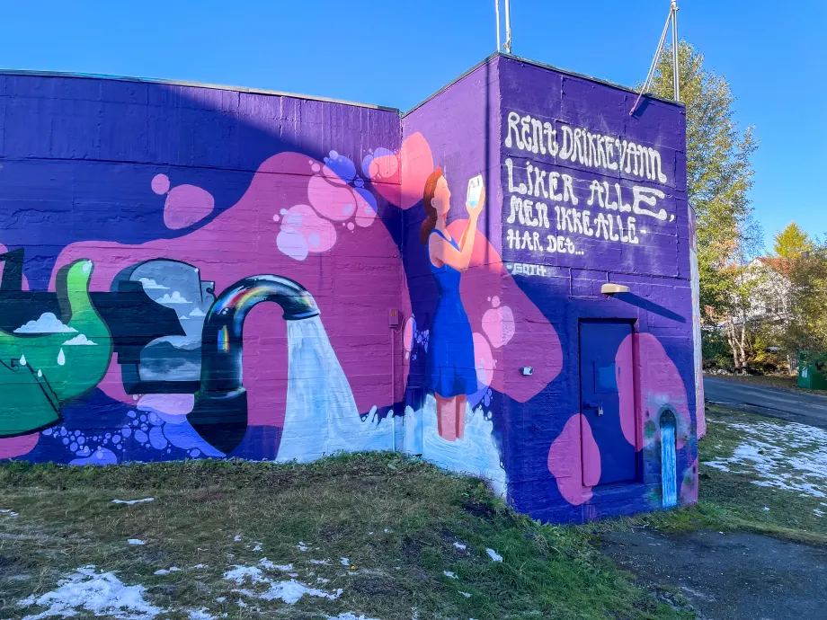 Forh&aring;pningen trykkbasseng dekket av gatekunst_2