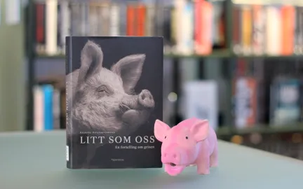 Ei bok st&aring;r oppstilt med forsiden mot kamera. P&aring; forsiden er et bilde i sort og hvitt av en gris. Ved siden av boka st&aring;r en rosa leket&oslash;ysgris. Foto.