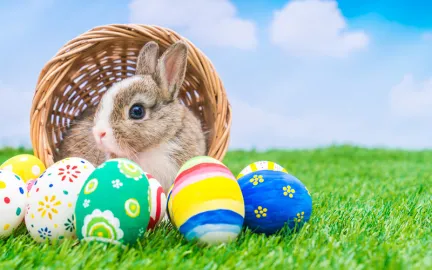 P&aring;skekurv og hare