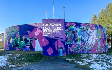 Forh&aring;pningen trykkbasseng dekket av gatekunst_1