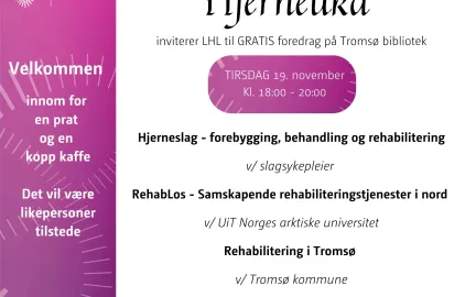 Hjerneuka