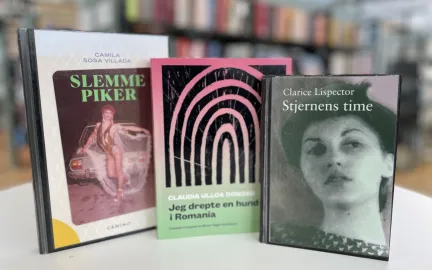 Les deg verden rundt, s&oslash;rlige amerika 2