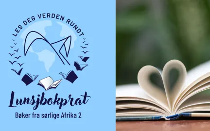 Boktips, S&oslash;rlige Afrika 2