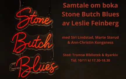 Stone Butch Blues