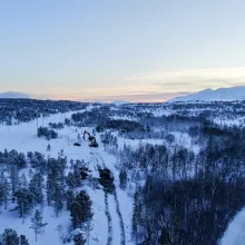 Gravemaskiner i skogen p&aring; Vikran