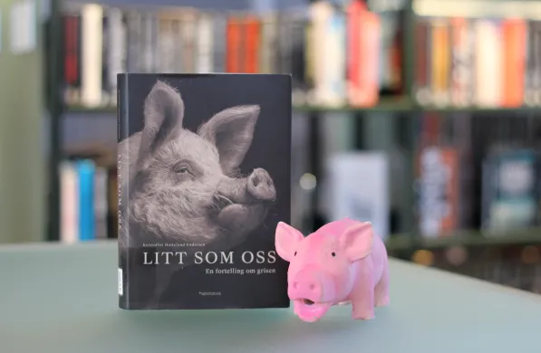 Litt som oss-Øystein anbefaler Ei bok står oppstilt med forsiden mot kamera. På forsiden er et bilde i sort og hvitt av en gris. Ved siden av boka står en rosa leketøysgris. Foto.