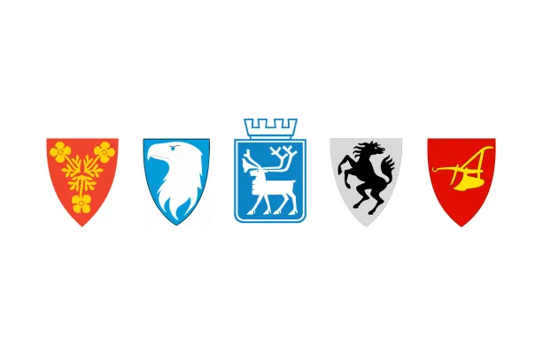 Politisk storregion