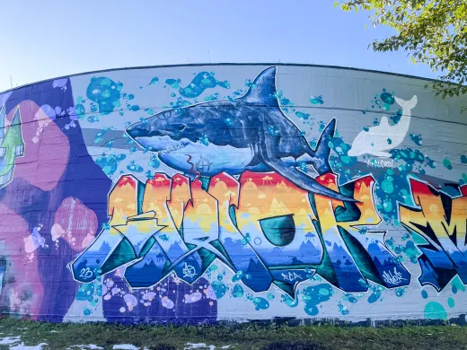 Forh&aring;pningen trykkbasseng dekket av gatekunst